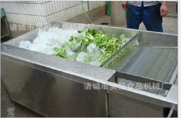 鼓泡式蔬菜清洗机  蔬菜气泡清洗机